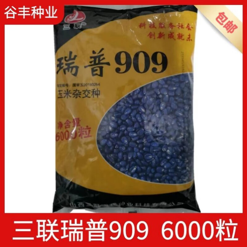 山西三联瑞普909玉米种子抗旱抗倒伏矮杆大棒6000粒紫杆 6000粒/袋