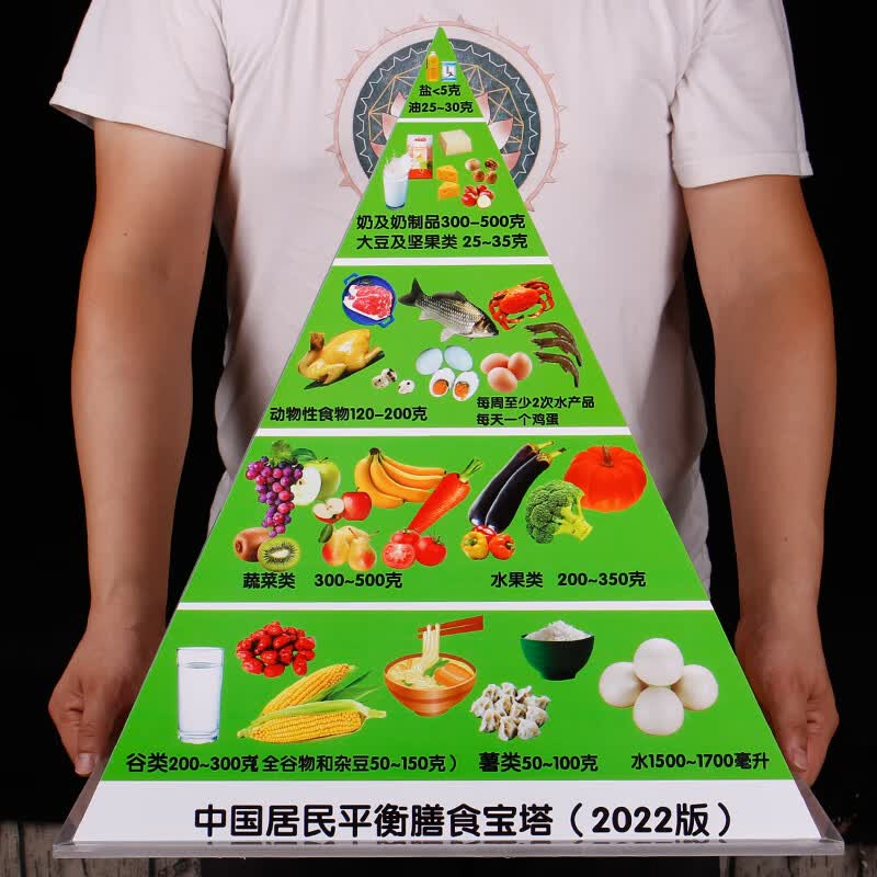 新版2022中国居民平衡膳食宝塔食物交换份模型饮食营养金字塔模型