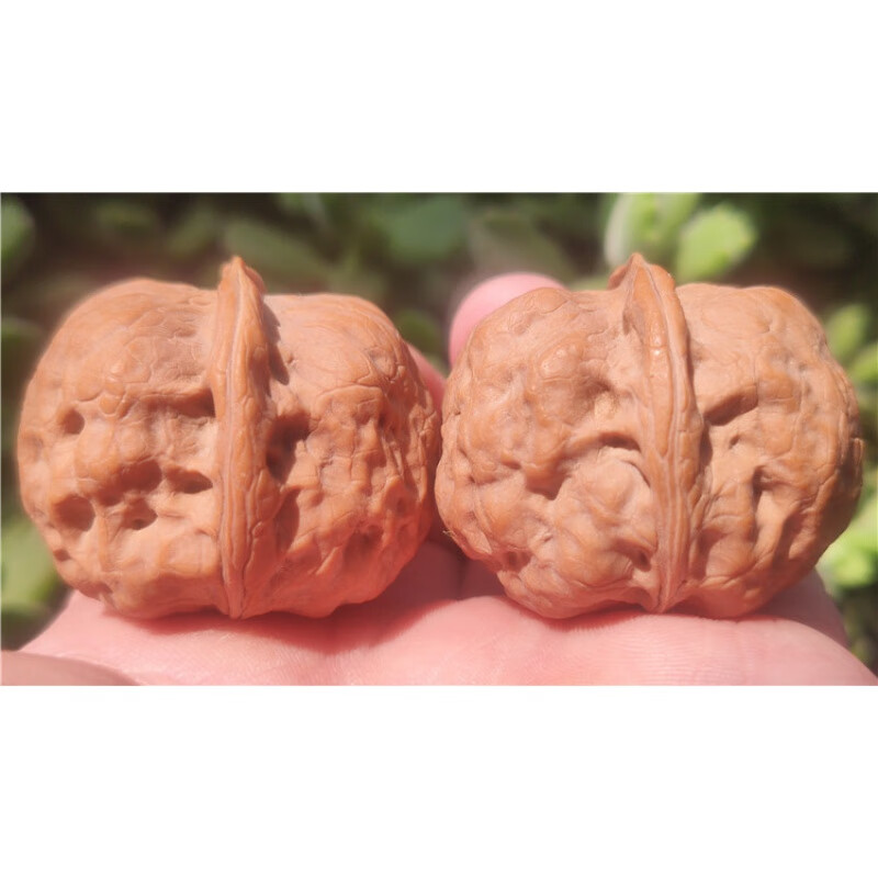 蛤蟆头核桃文玩蛤蟆头金蟾疙瘩包方尊元宝玉蟾肌肉蟾 方尊蟾头w-45