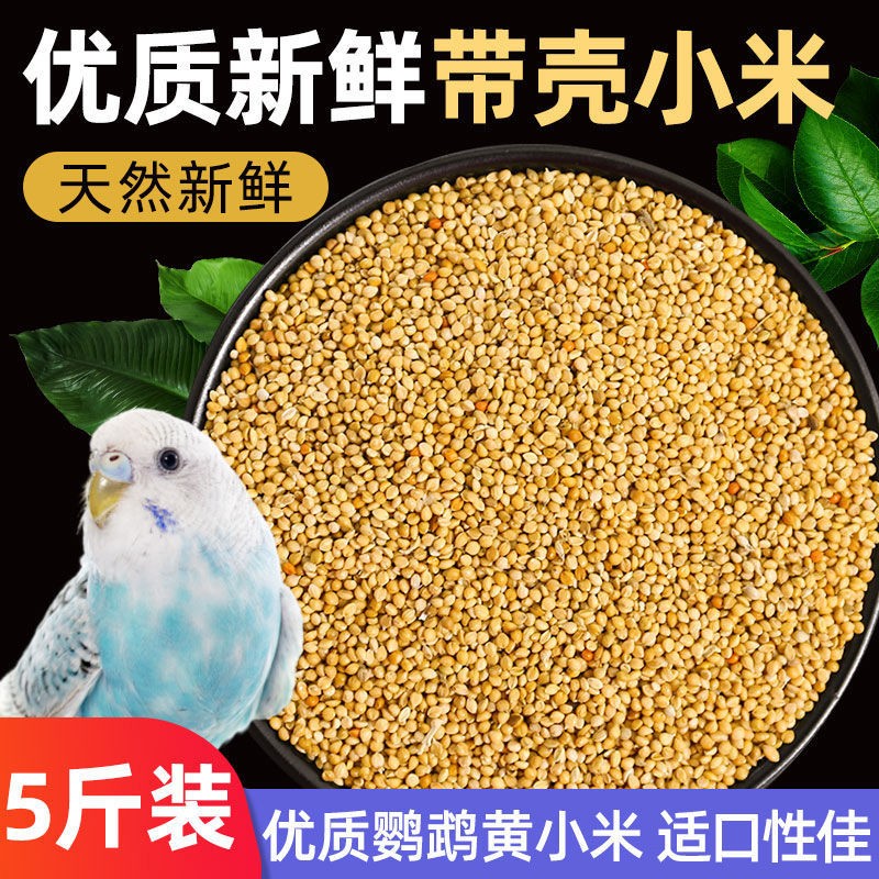 fanai 鹦鹉饲料谷子虎皮鸟食玄凤谷子牡丹粮食文鸟带壳小米黄雀鸟粮