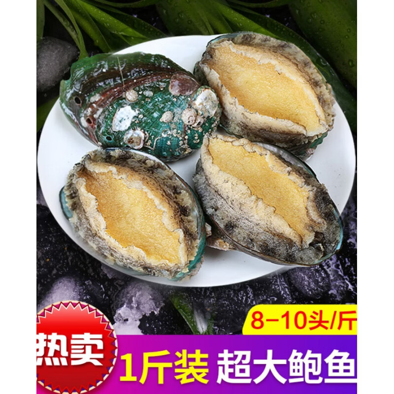 新鲜鲍鱼鲜活超大个海鲜水产活冻特大加热即食小鲍鱼500g捞饭