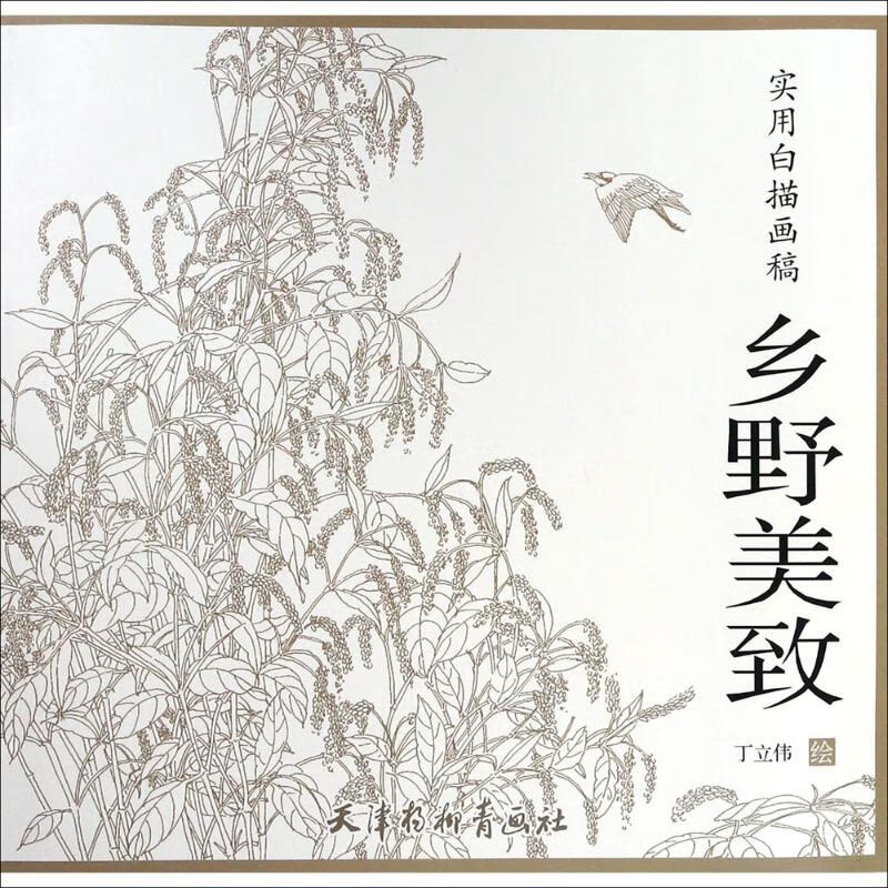 乡野美致 丁立伟 绘 著 工艺美术新艺术 正版图书籍 天津杨