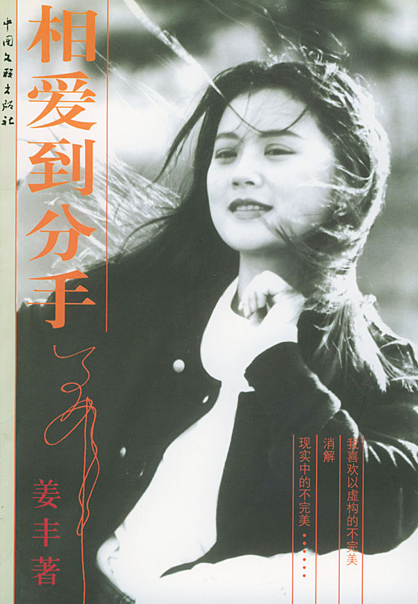 相爱到分手 姜丰 著
