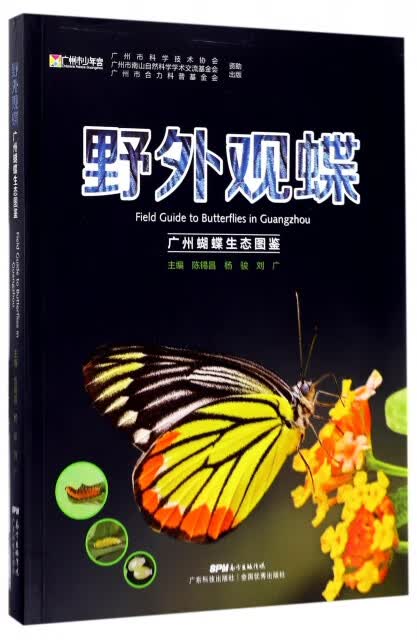 野外观碟：广州蝴蝶生态图鉴（彩图版） 全新正版