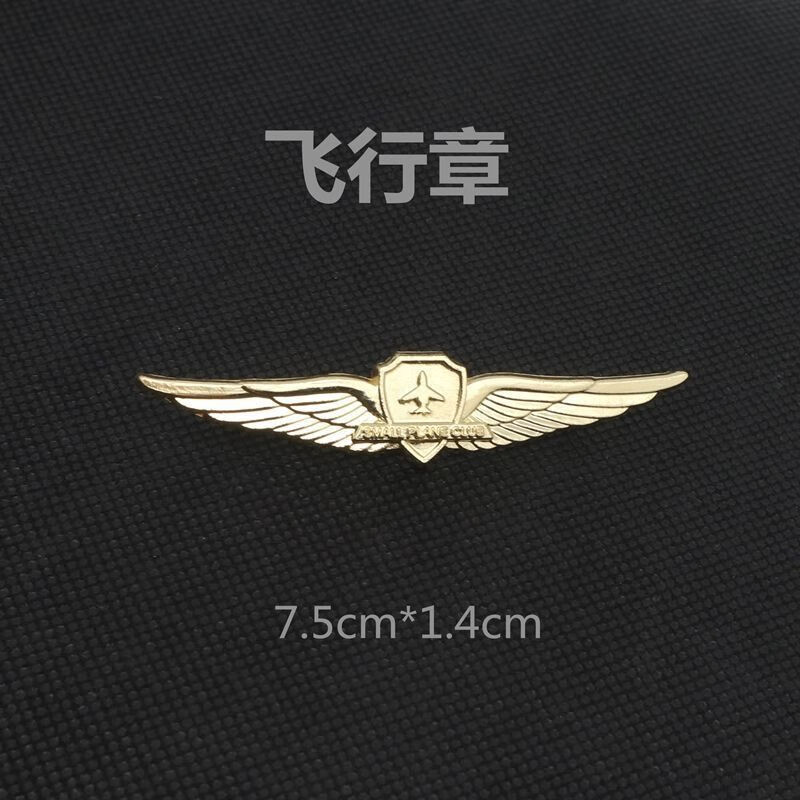 蓝铂丽飞行员胸章 航空纪念章 胸针 金属徽章 飞行章-金色