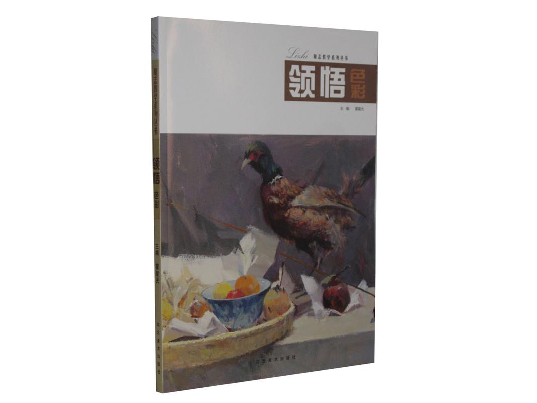 领悟色彩 霍星光 主编【书】