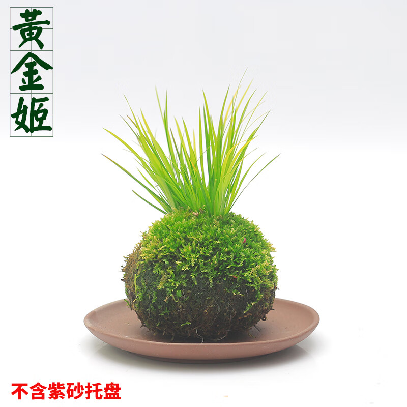 4264《真品保証》【佐渡羽茂五色・錦紅石専門】 水石 佐渡錦紅石 5kg