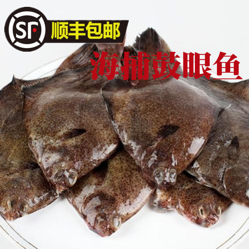 诺斯食美鼓眼鱼青岛偏口鱼鲜活高眼鱼豆鼓鱼生鲜牙片鱼偏口鱼生鲜