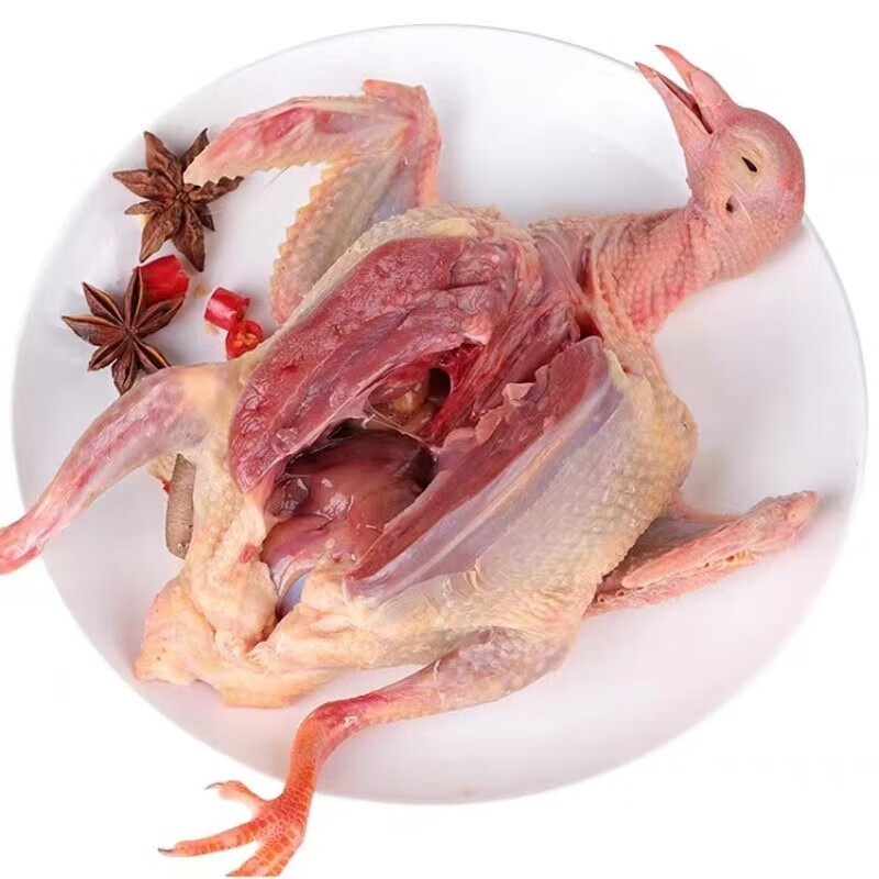 十里馋农家散养滋补煲汤鸽肉生鲜新鲜现杀杂粮喂养鸽子5年老鸽孕妇