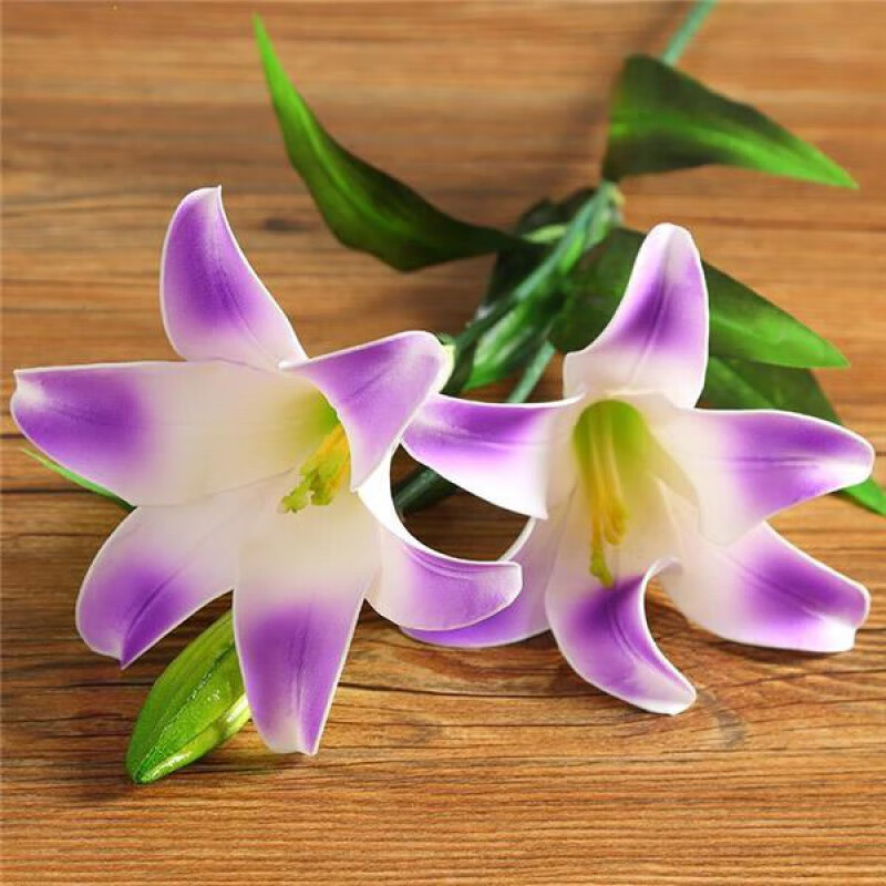 百合花 相关京东优惠商品 6 价格图片品牌优惠券 虎窝购