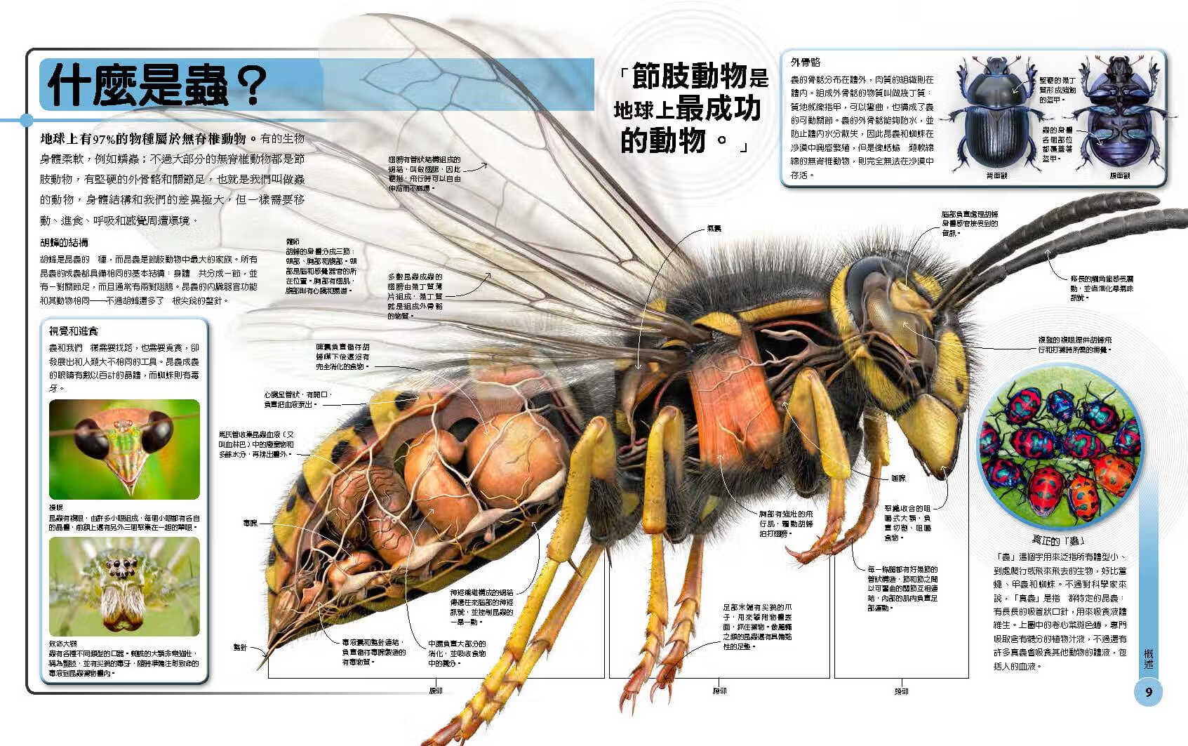 预售 约翰-伍德沃德 超能力昆虫百科：地球上*大、*快、*致命的昆虫与节肢动物 大石国际文化截图