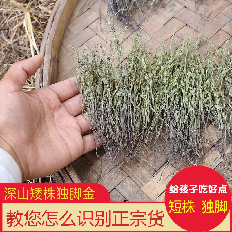 正宗独脚金疳积草小儿开胃不吃饭厌食广东煲汤料黄花矮脚子中药材