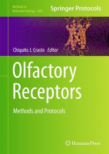 预订 olfactory receptors