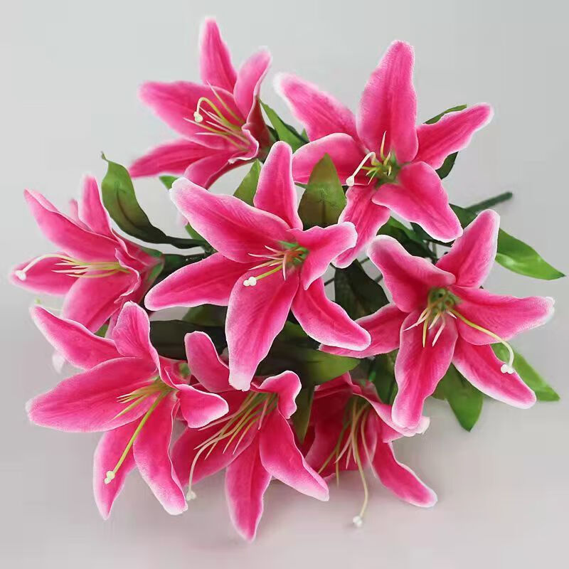 花上档次新鲜蝴蝶假花百合房间主卧室康乃馨何花高端 玫红 12头百合