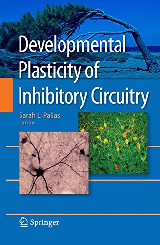 预订 developmental plasticity of inhibitory circuitry