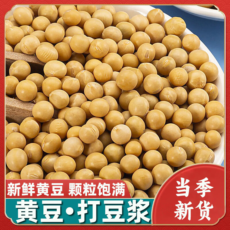 黄豆新大豆打豆浆发豆芽做豆腐商用河南直发当季新粮非转基因新鲜