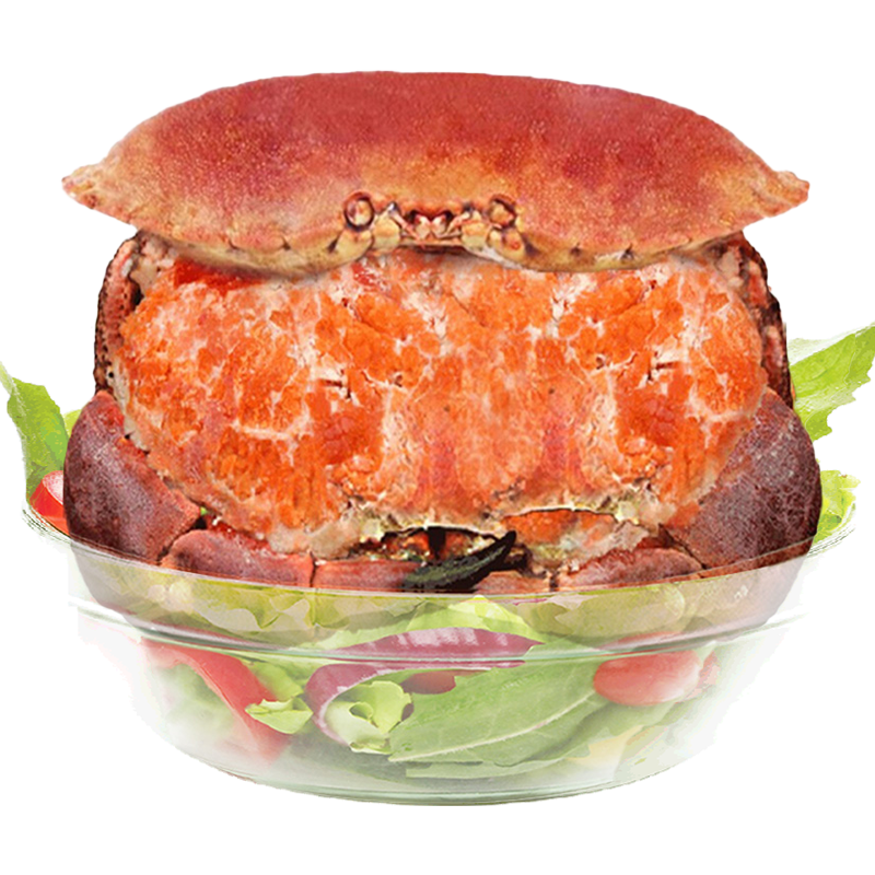 超大螃蟹面包蟹原装价格走势趋势分析及推荐-鲜味时刻