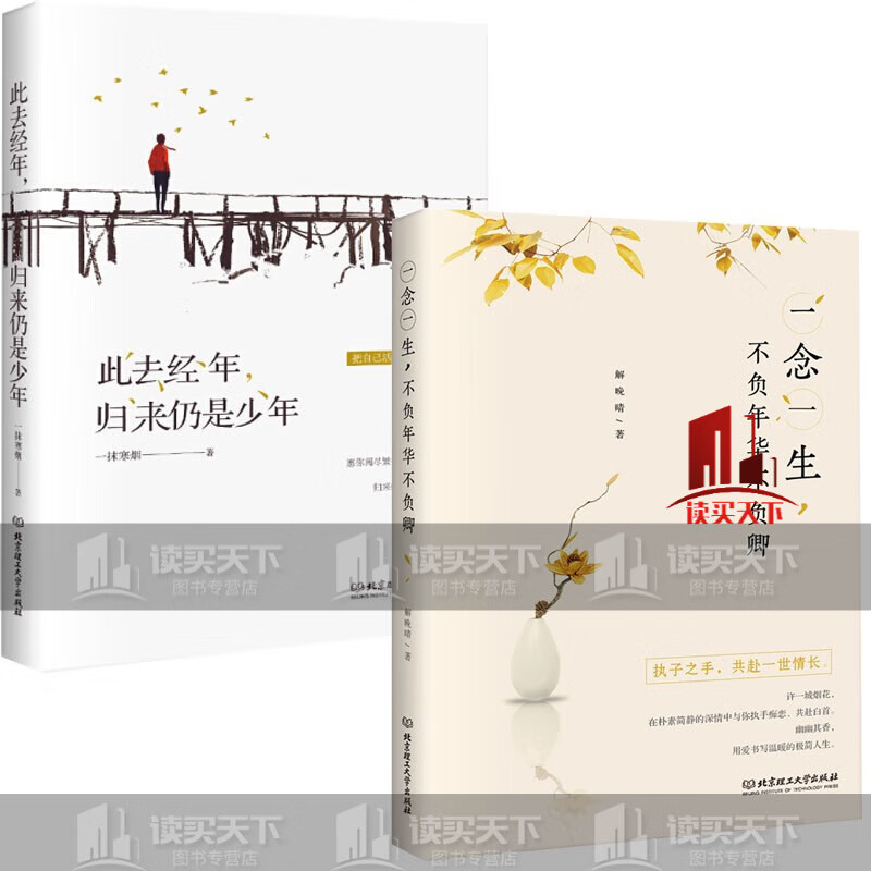一念一生不负年华不负卿 此去今年归来仍是少年 正版2册c