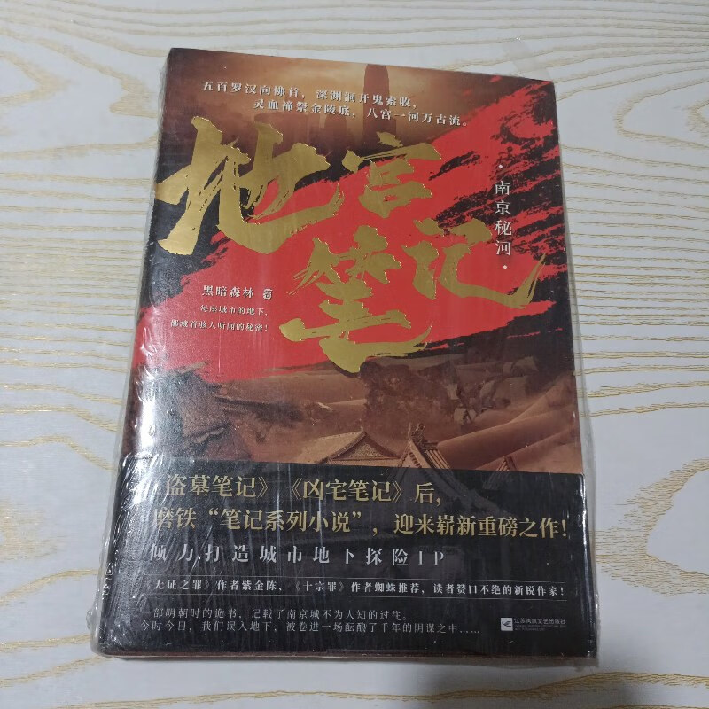 【绝版旧书】地宫笔记.南京秘河 江苏凤凰文艺出版社