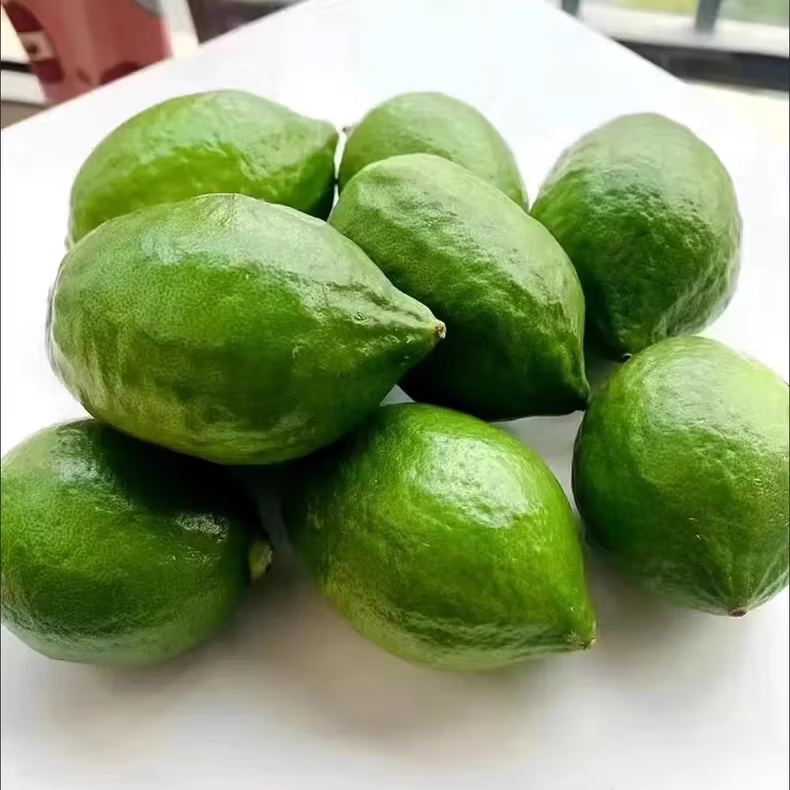 正宗广东香水柠檬爆香新鲜无籽精品一级果 3斤(净重一级果奶茶店口味)