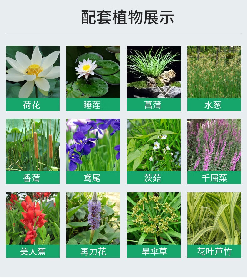 富立仕水上种植浮床生态浮岛水生植物漂浮板水面景观人工种植生态浮盘