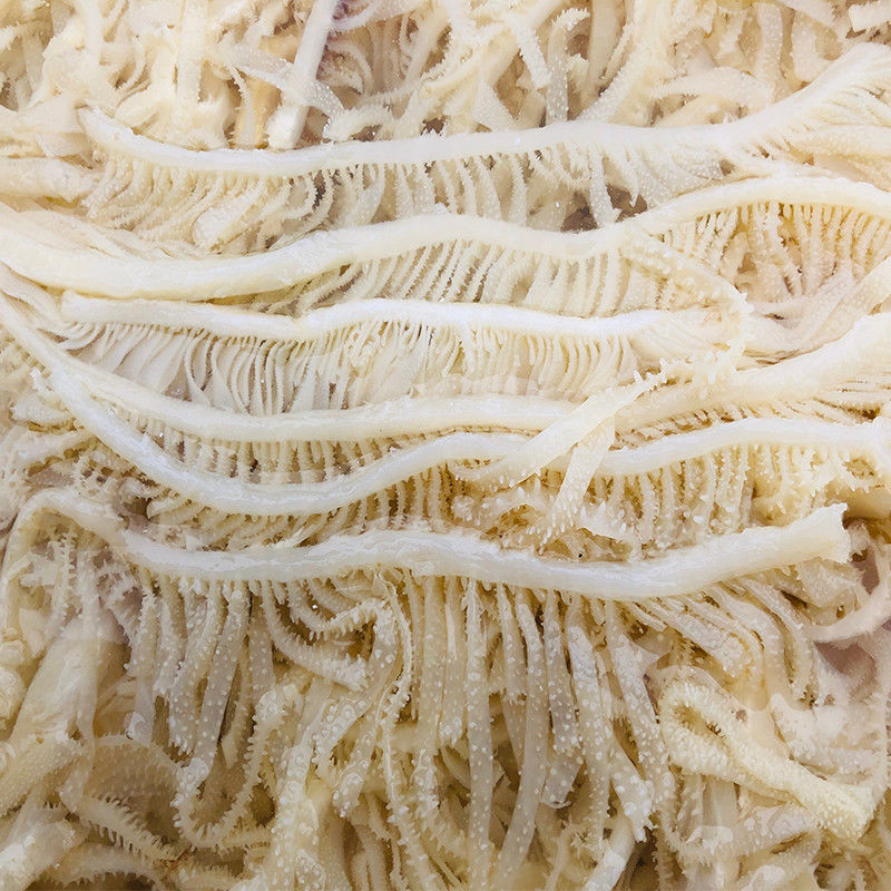 大叶片底板毛肚牛百叶火锅食材新鲜批发黑毛肚片牛毛肚鲜毛肚牛杂 白