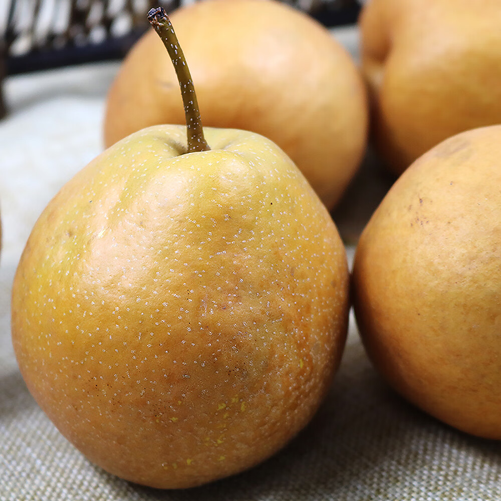 鲜姿 辽宁特产金翠香梨新鲜翠香梨水果当季新鲜水果生鲜 净重4.5斤 (单果75-80mm)
