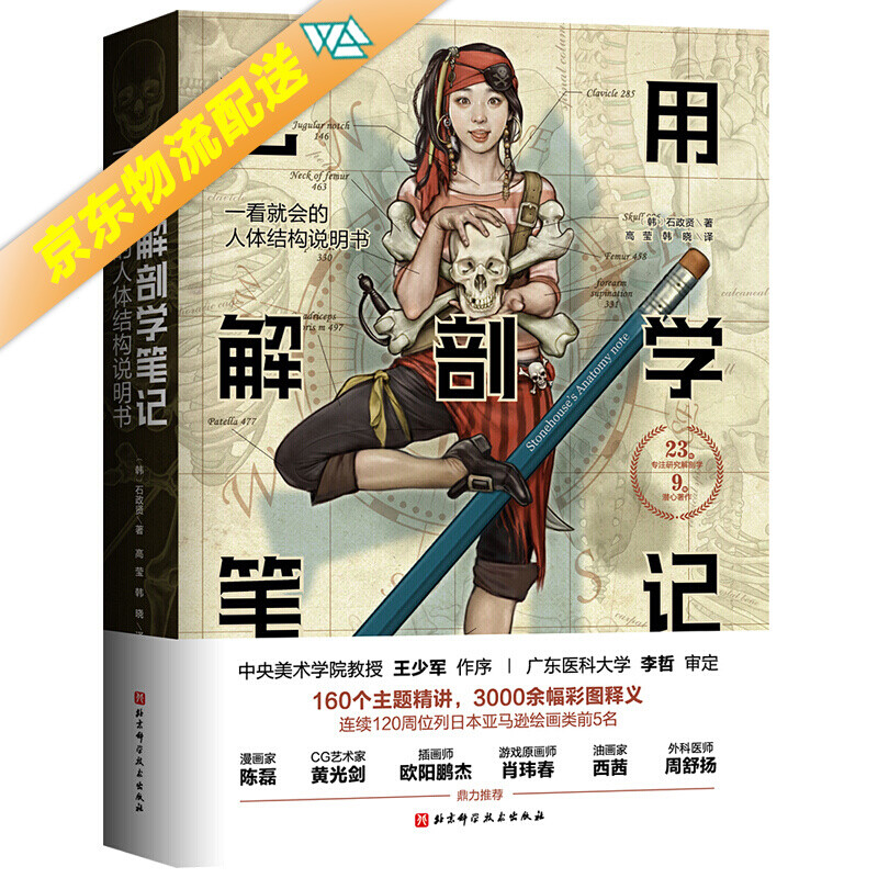 艺用解剖学笔记