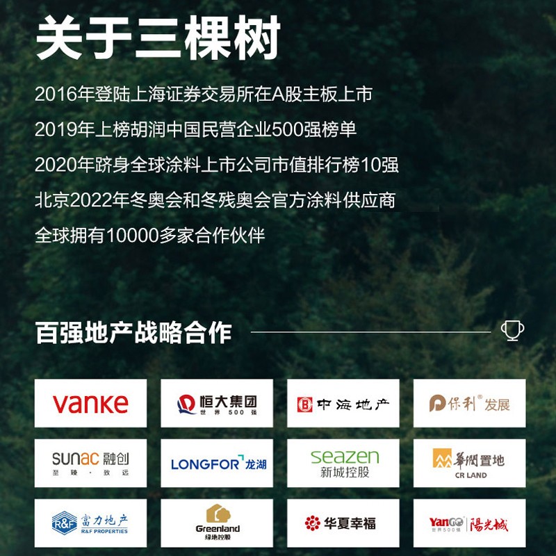 三棵树漆(SKSHU) 三棵树外墙透明防水胶 免砸砖防水涂料家用屋顶房顶外墙屋面补漏 40斤【外墙透明速干】附带刷子滚筒
