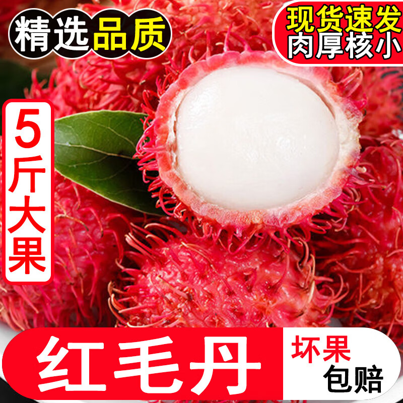紅毛丹新鮮3斤應(yīng)當(dāng)季毛荔枝孕婦水果整箱 2斤