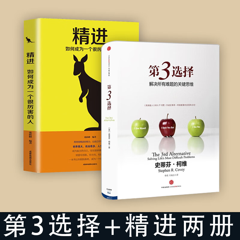 第3选择  精进 如何成为一个很厉害的人 第三选择 史蒂芬柯维 高效能