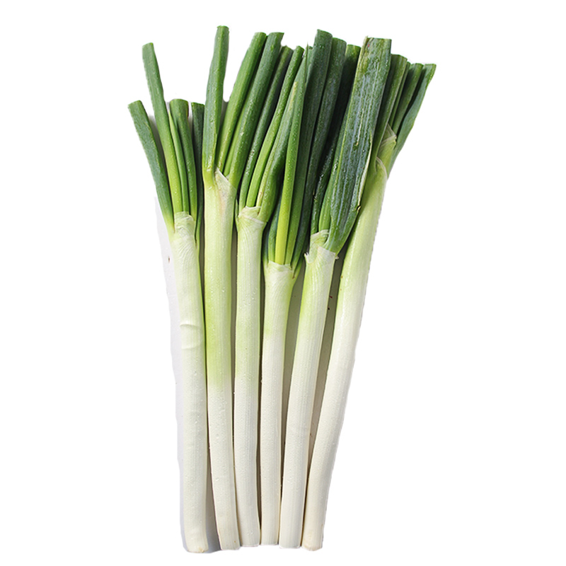 甜芋果月山东正宗章丘铁杆大葱  新鲜蔬菜生吃甜葱白天然时令蔬菜 5斤