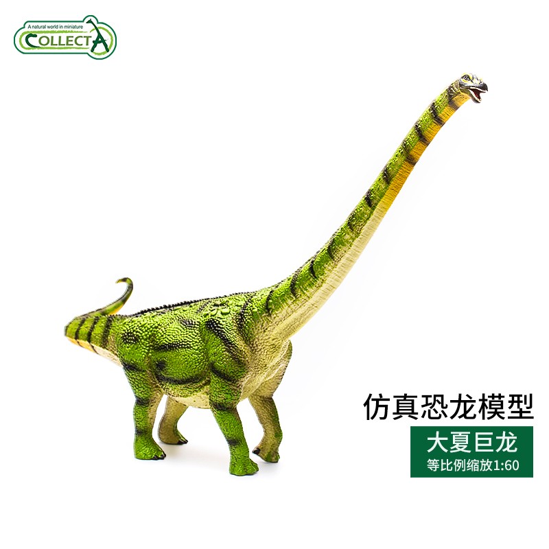 仿真动物模型恐龙玩具收藏恐龙儿童认知玩具白垩纪 大夏巨龙88704