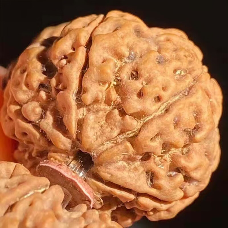 慕木阁正宗六瓣尼泊尔大金刚菩提子手串满肉原籽佛珠男女文玩 mg186 【玩家级】满肉蜜蜡款(21毫米) 【六瓣】