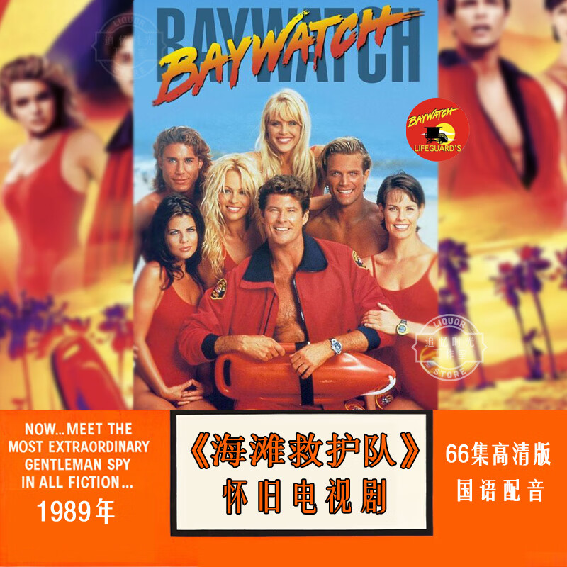 海滩救护队.国语配音电视剧下载