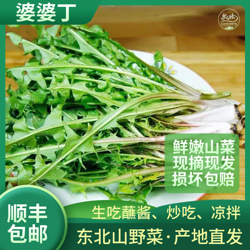 新鮮婆婆丁蒲公英山野菜東北蘸醬菜苦菜現(xiàn)采現(xiàn)發(fā)1斤2斤3斤順豐 三斤新鮮蒲婆婆丁