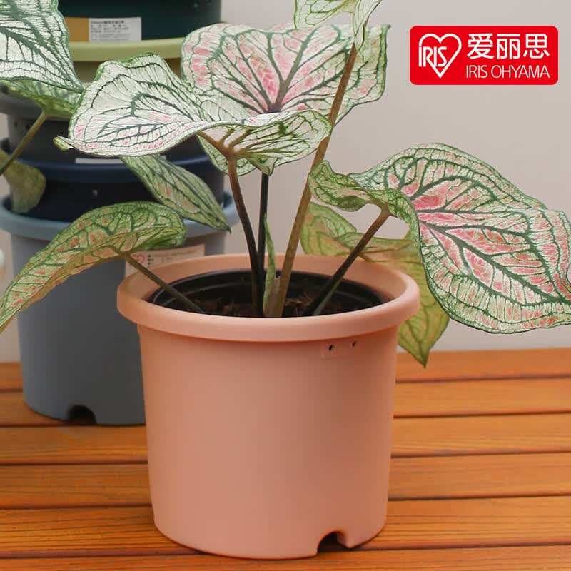 爱丽思Deepot北欧简约控根树脂加仑盆月季绣球绿萝爱丽思塑料花盆 粉色 5号【单盆装】