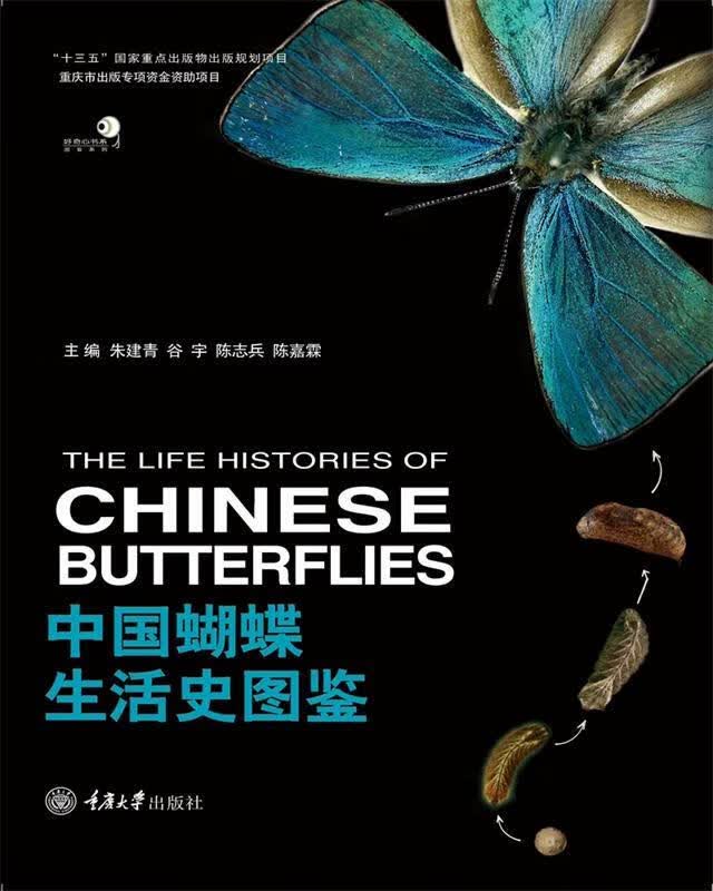 【新华书店正版图书】中国蝴蝶生活史图鉴 李凯,朱建青,谷宇,陈志兵 重庆大学出版社 正版图书