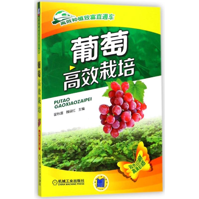 官网正版 葡萄高效栽培 翟秋喜 种植致富直通车 农业经典实用技术图书 技能培训教材