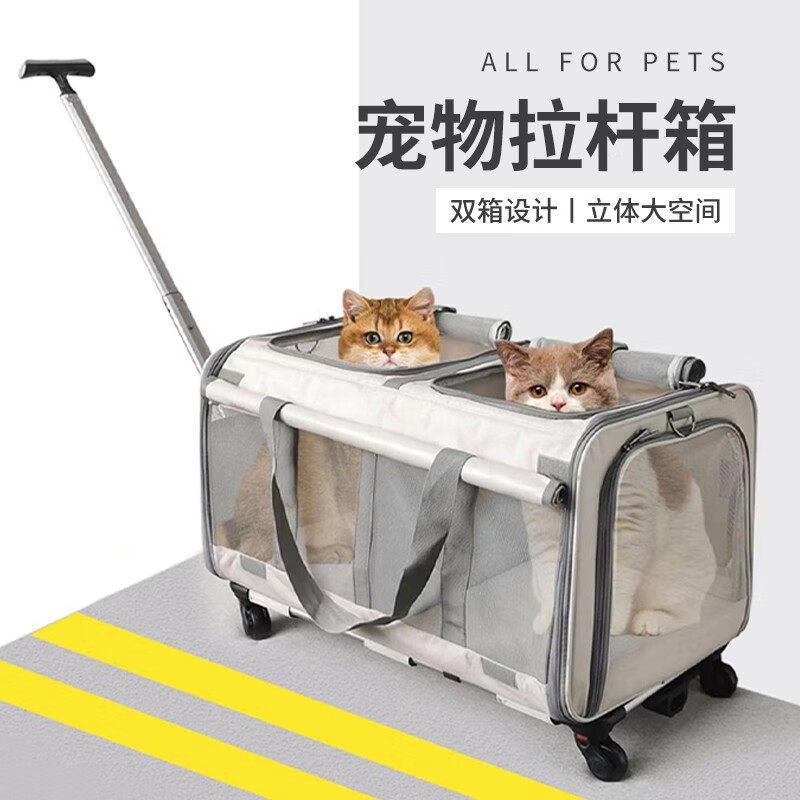 吐槽真相解密COCS猫包用后两个月感受？看看两星期真相分享