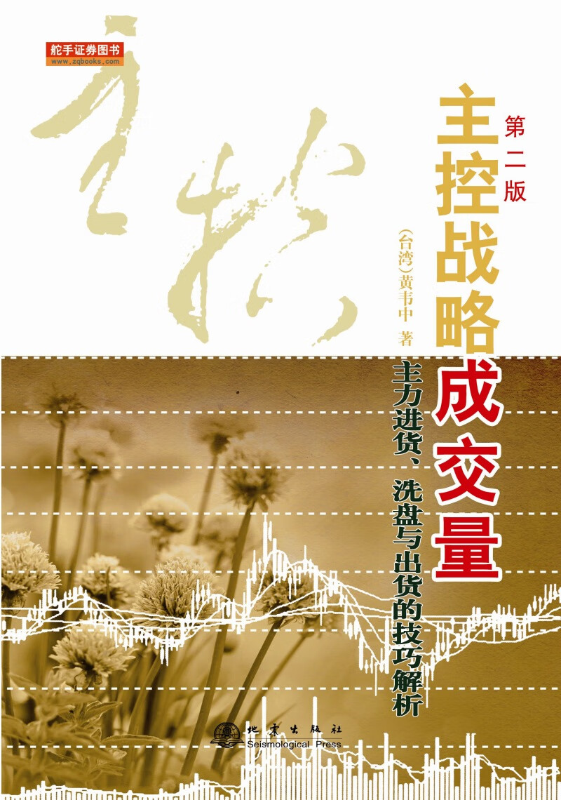 主控战略成交量(第二版)【正版图书】