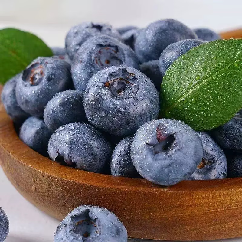 悠轶云南蓝莓水果新鲜【多地次日达】L25花香蓝莓国产孕妇水果 4盒装【100g/盒】单果15mm+