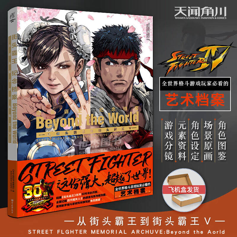 街头霸王 纪念档案:beyond the world-从街头霸王到街头霸王v 街霸