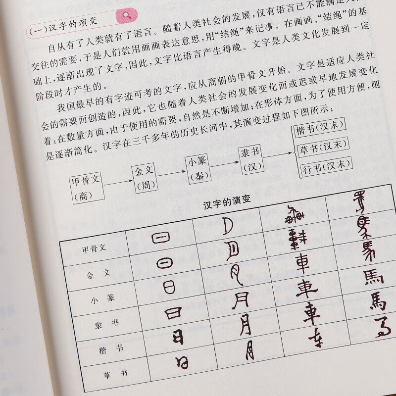 全套3册小学语文数学英语基础知识大全专项训练练习强化宝典小学 小学语文基础知识大全