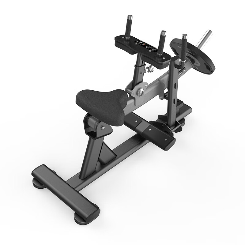 舒华(shua)sh-g6910小腿提踵训练器