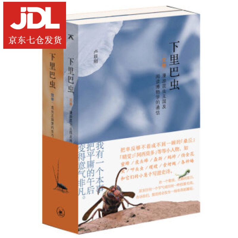 昆虫王国：下里巴虫 卢跃刚 著 9787108069528