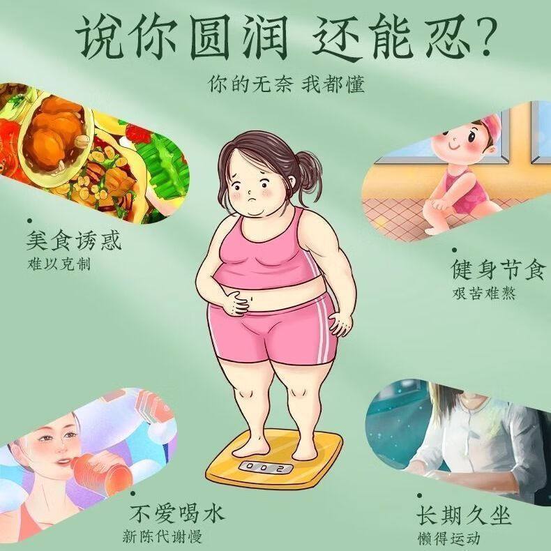九芝堂普洱荷叶茶10袋茶多酚大肚子虚胖腿粗瘦女性夏季减肥茶 五盒装