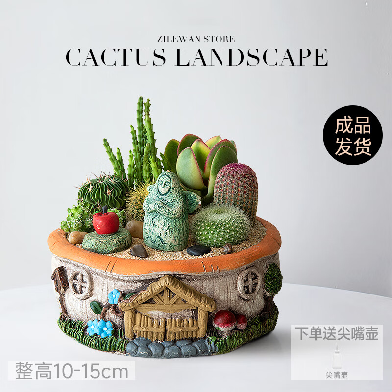 办公室桌面仙人掌组合精品仙人球花卉懒人好养