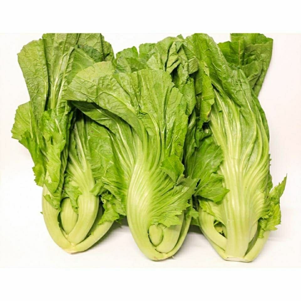 新鲜包心芥菜贵州大叶青菜苦青菜盖菜现摘整颗蔬菜腌菜泡菜酸菜 3斤