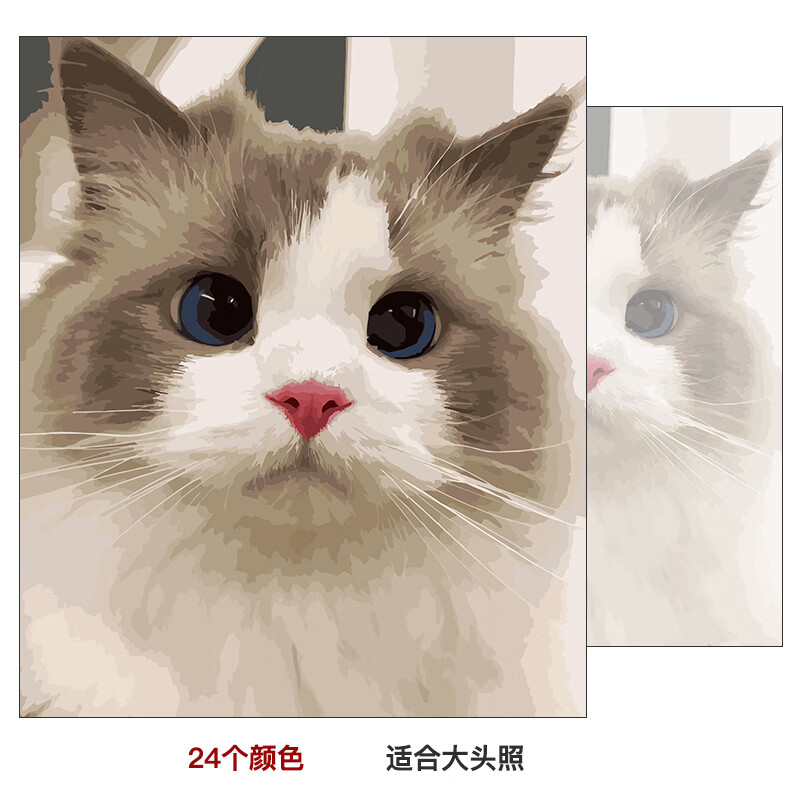 山头林村宠物猫咪照片diy定制手工油彩画画动物填色填充手作装饰 24色